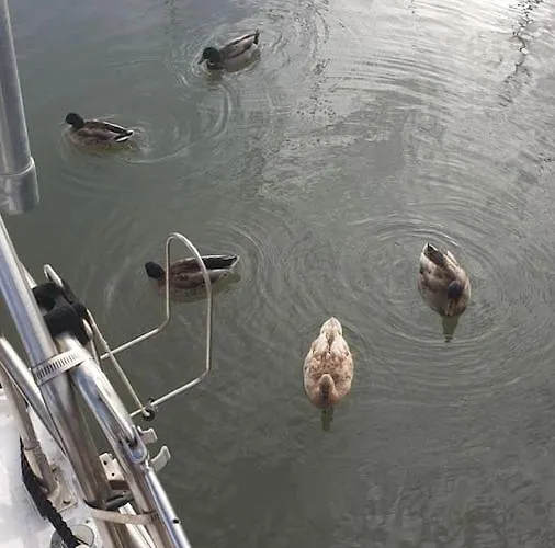 Vacations In A Sailboat Lissabon