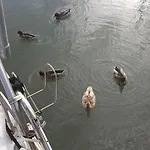 Vacations In A Sailboat Лиссабон